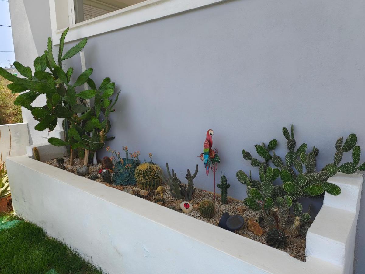 סודה Maria'S Modern Studio 5Min From Beach מראה חיצוני תמונה